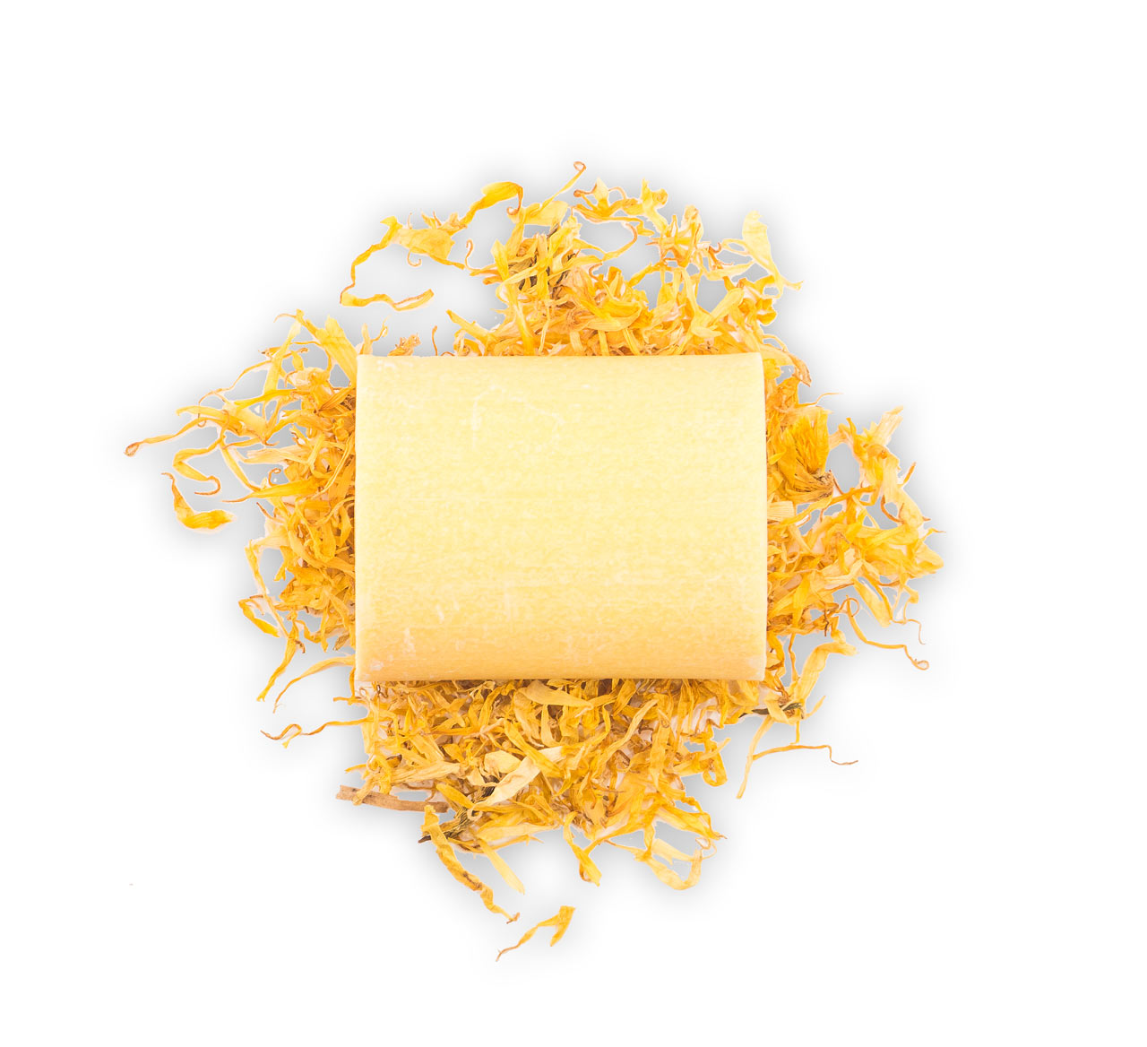 Festes Shampoo Marigold
