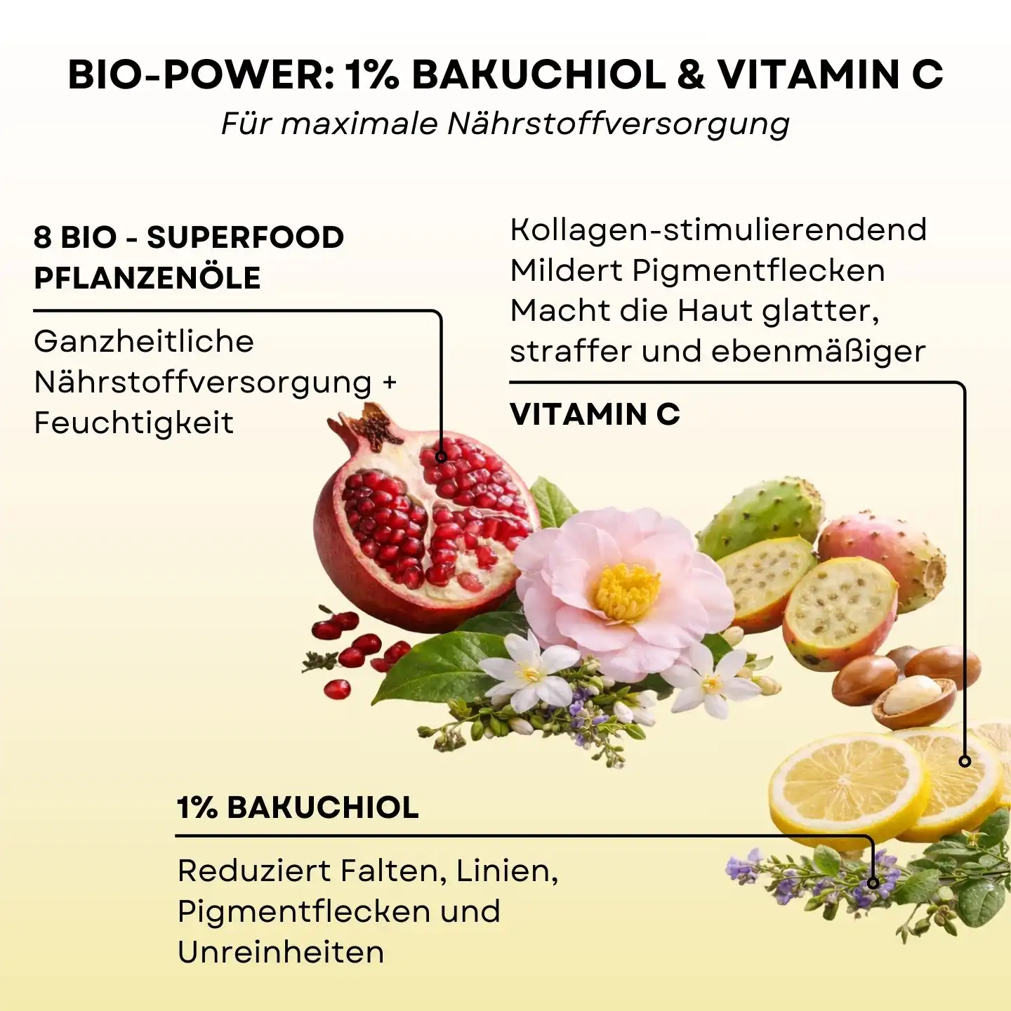 Bakuchiol Deluxe & Vit C