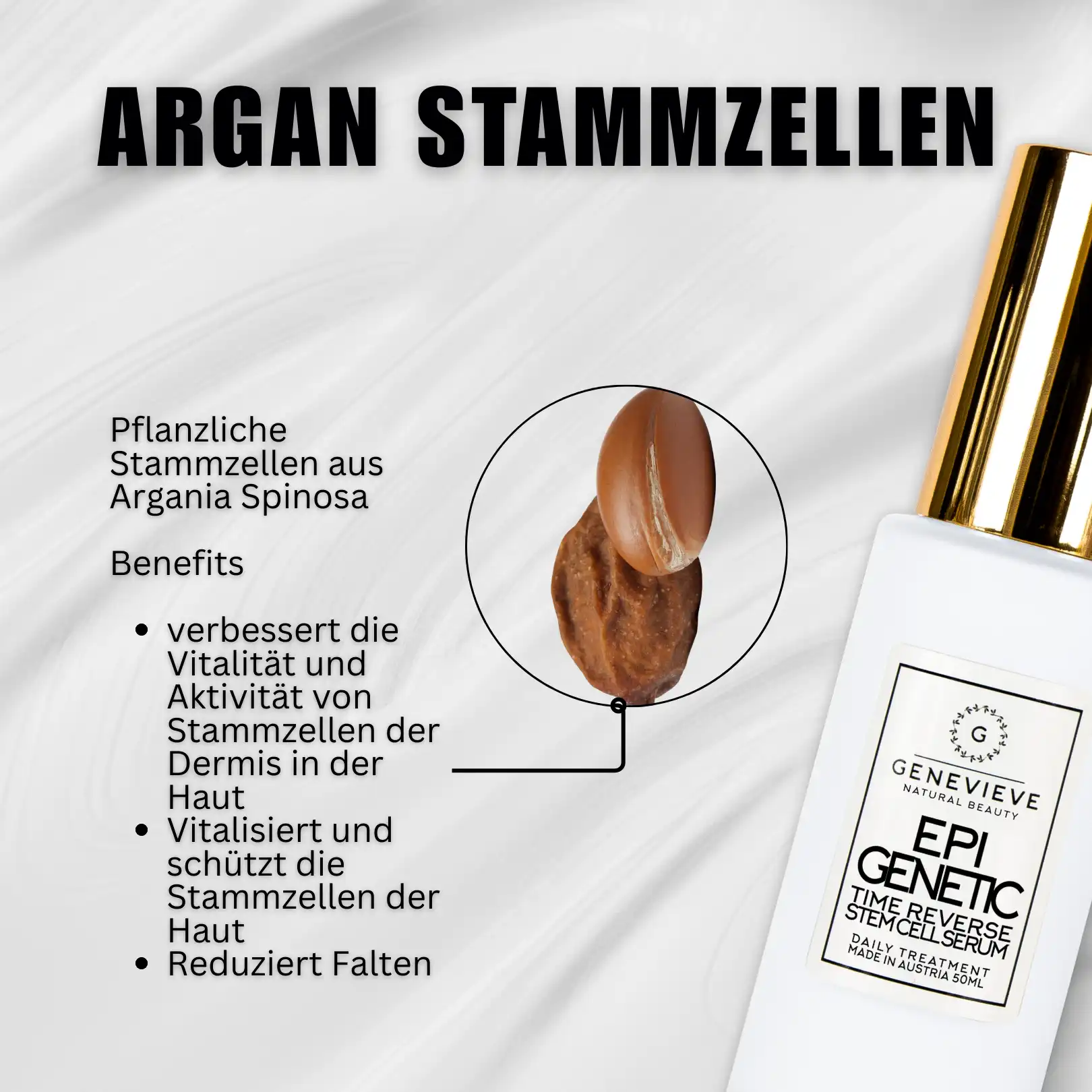 EpiGenetic Longevity Stammzellen-Serum
