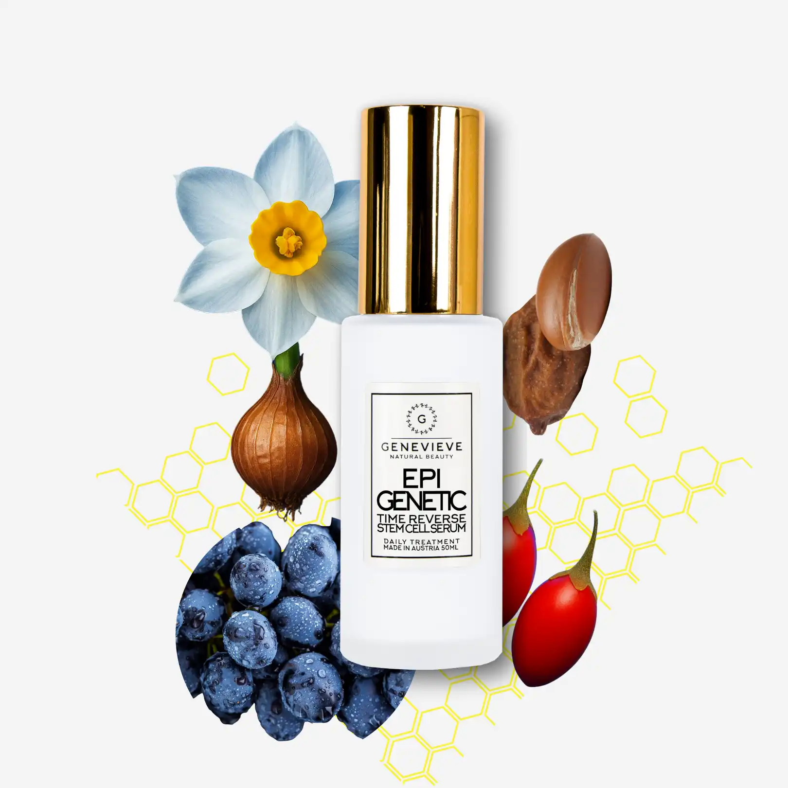EpiGenetic Longevity Stammzellen-Serum