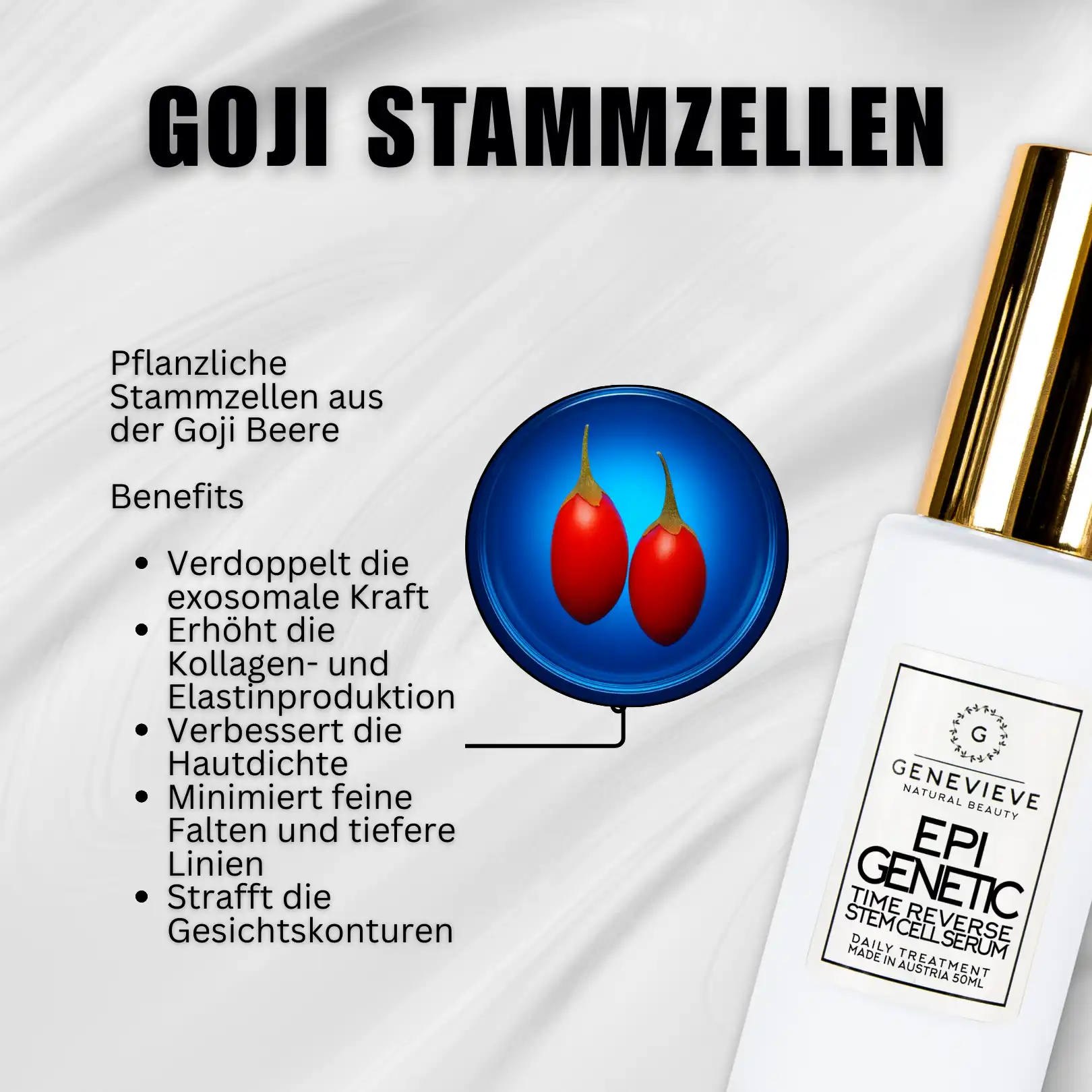 EpiGenetic Longevity Stammzellen-Serum