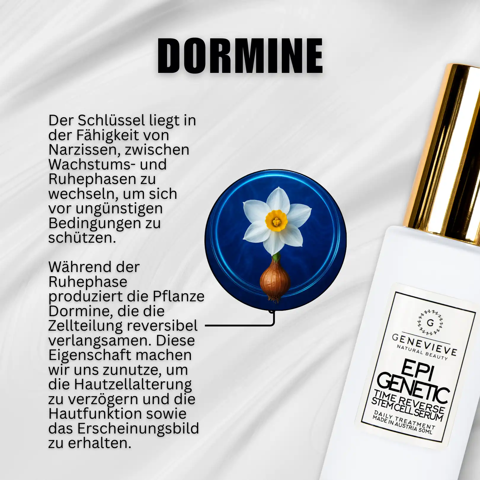 EpiGenetic Longevity Stammzellen-Serum